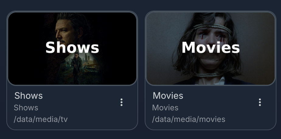 jellyfin-libraries